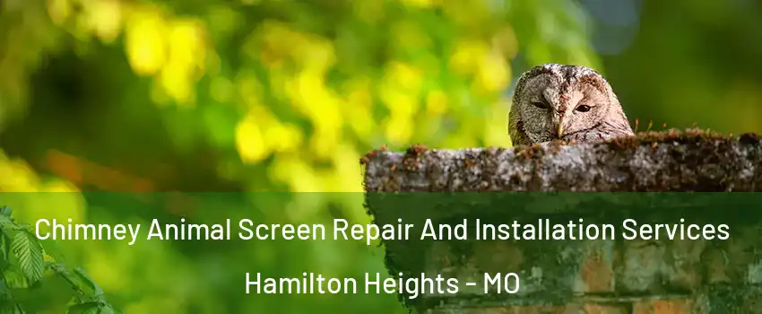 Chimney Animal Screen Repair And Installation Services Hamilton Heights - MO