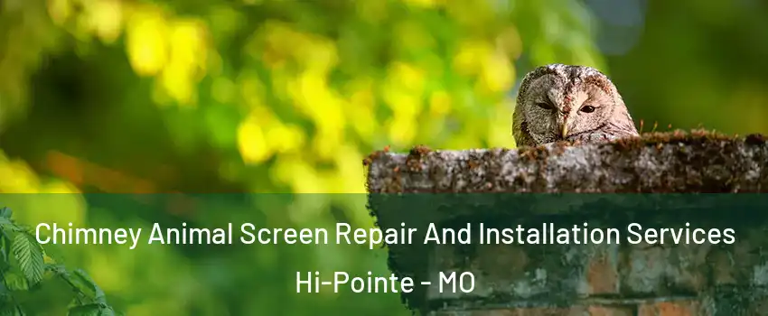 Chimney Animal Screen Repair And Installation Services Hi-Pointe - MO