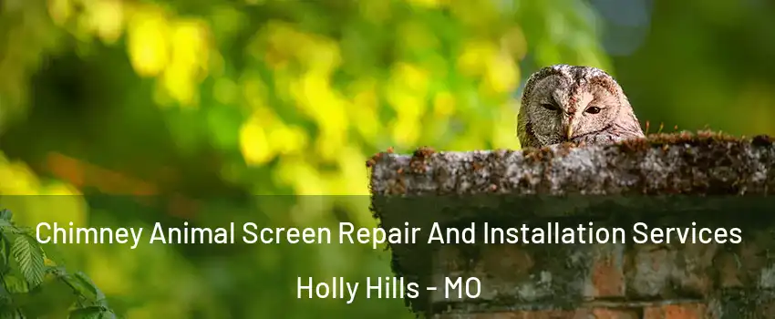 Chimney Animal Screen Repair And Installation Services Holly Hills - MO