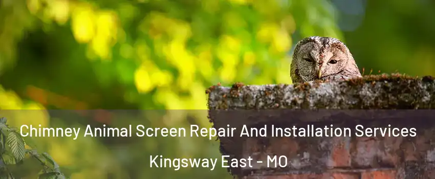 Chimney Animal Screen Repair And Installation Services Kingsway East - MO