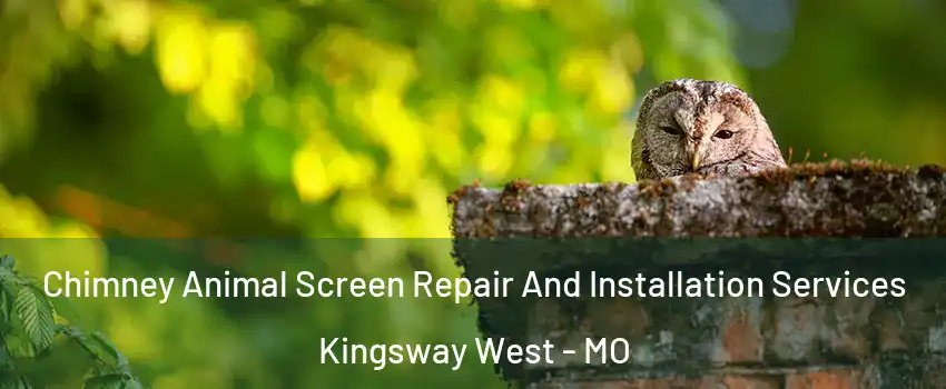 Chimney Animal Screen Repair And Installation Services Kingsway West - MO