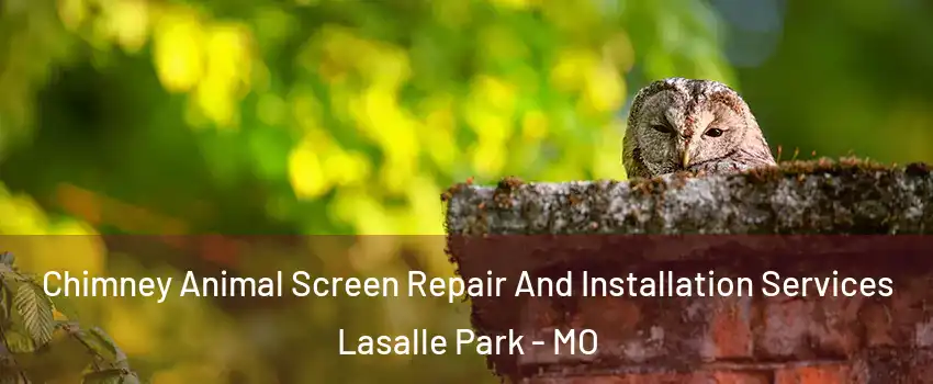 Chimney Animal Screen Repair And Installation Services Lasalle Park - MO