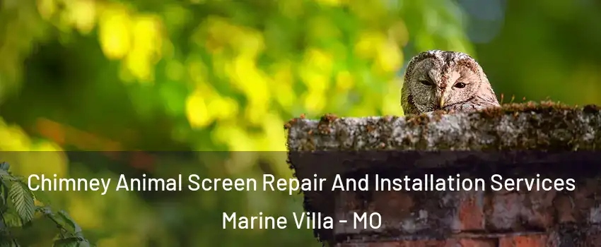 Chimney Animal Screen Repair And Installation Services Marine Villa - MO