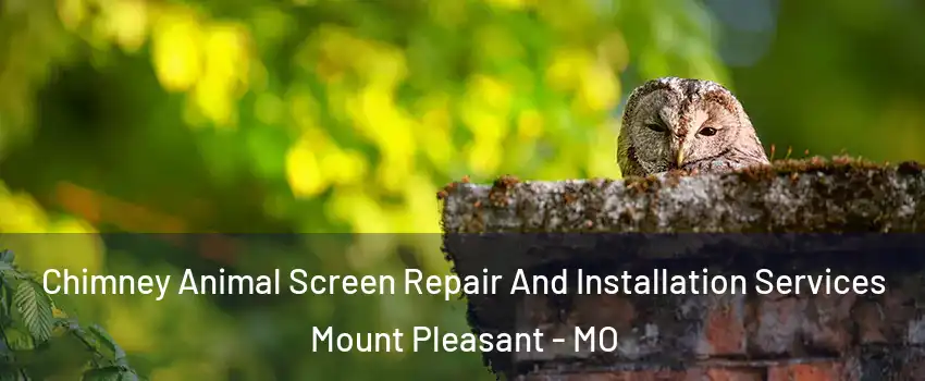 Chimney Animal Screen Repair And Installation Services Mount Pleasant - MO