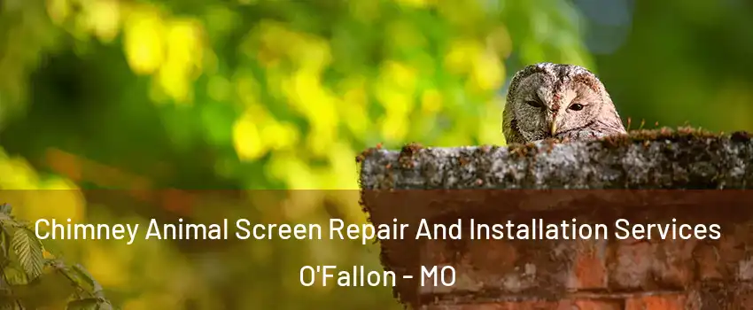Chimney Animal Screen Repair And Installation Services O'Fallon - MO