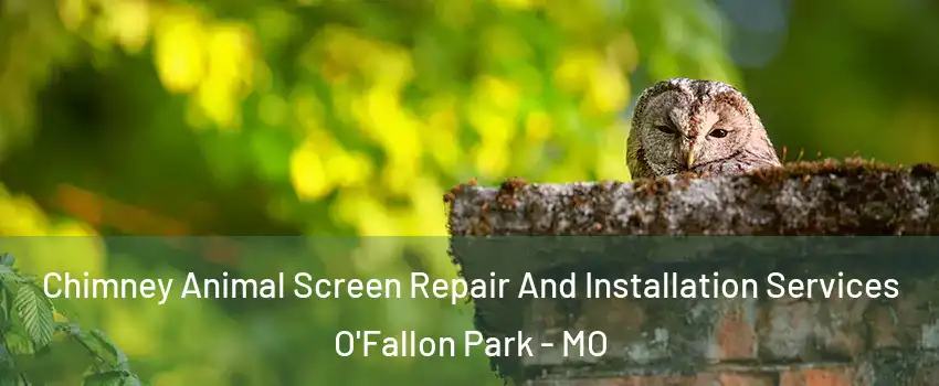 Chimney Animal Screen Repair And Installation Services O'Fallon Park - MO