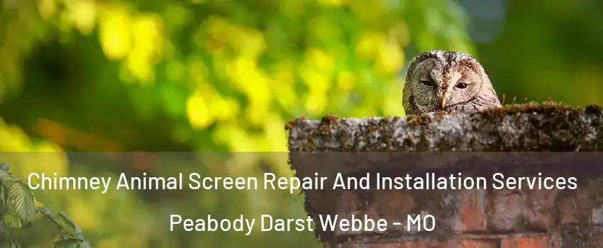 Chimney Animal Screen Repair And Installation Services Peabody Darst Webbe - MO