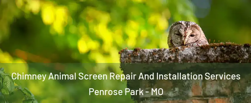 Chimney Animal Screen Repair And Installation Services Penrose Park - MO