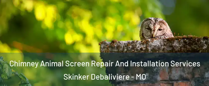 Chimney Animal Screen Repair And Installation Services Skinker Debaliviere - MO