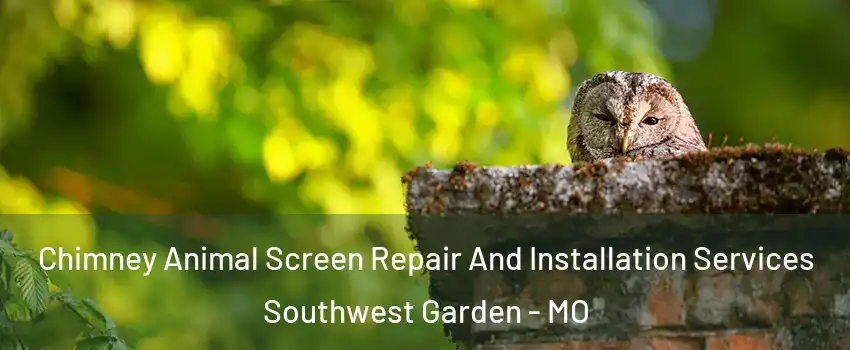 Chimney Animal Screen Repair And Installation Services Southwest Garden - MO