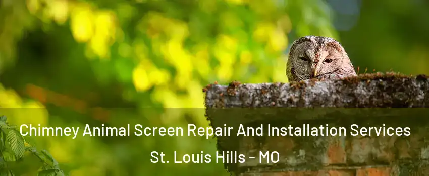 Chimney Animal Screen Repair And Installation Services St. Louis Hills - MO
