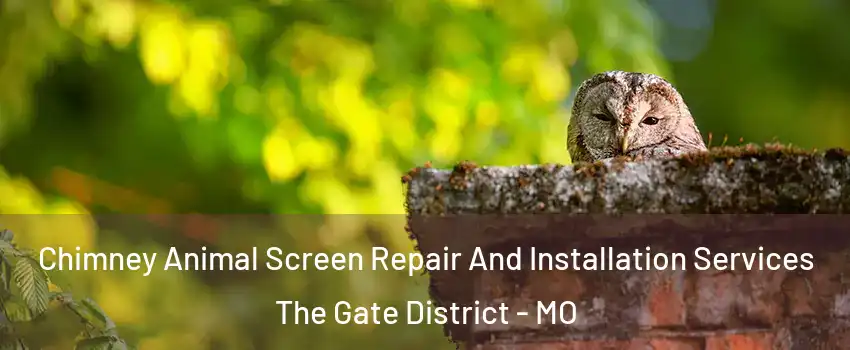 Chimney Animal Screen Repair And Installation Services The Gate District - MO