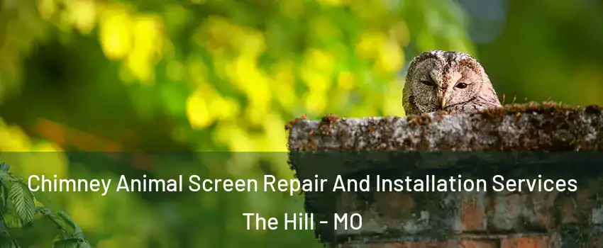 Chimney Animal Screen Repair And Installation Services The Hill - MO