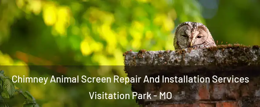 Chimney Animal Screen Repair And Installation Services Visitation Park - MO