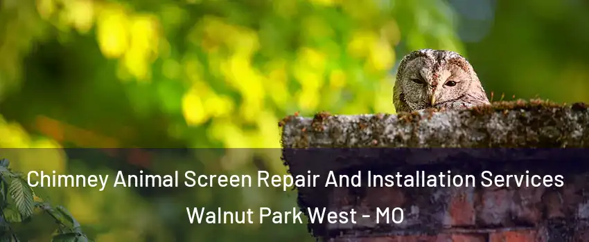 Chimney Animal Screen Repair And Installation Services Walnut Park West - MO