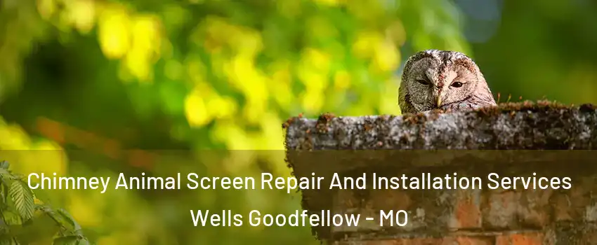 Chimney Animal Screen Repair And Installation Services Wells Goodfellow - MO