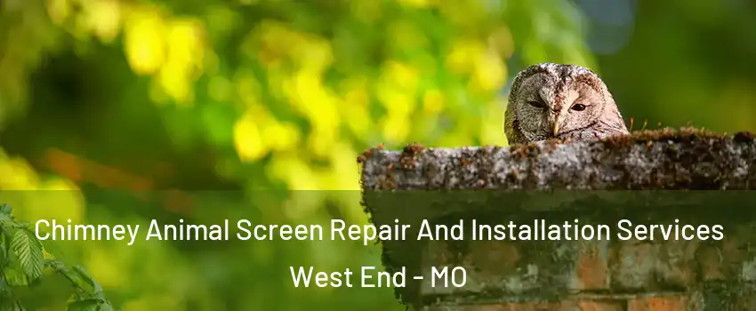 Chimney Animal Screen Repair And Installation Services West End - MO
