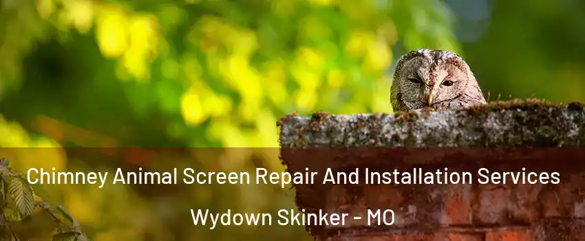 Chimney Animal Screen Repair And Installation Services Wydown Skinker - MO