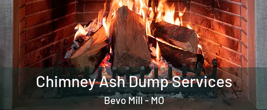 Chimney Ash Dump Services Bevo Mill - MO
