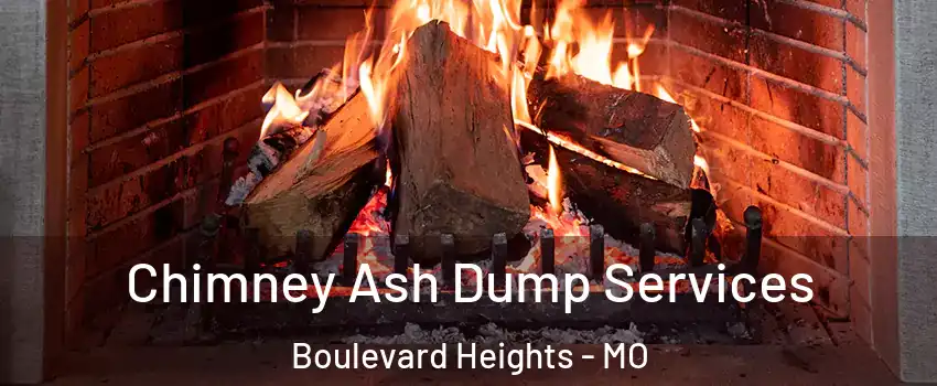 Chimney Ash Dump Services Boulevard Heights - MO