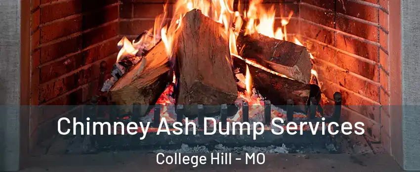 Chimney Ash Dump Services College Hill - MO
