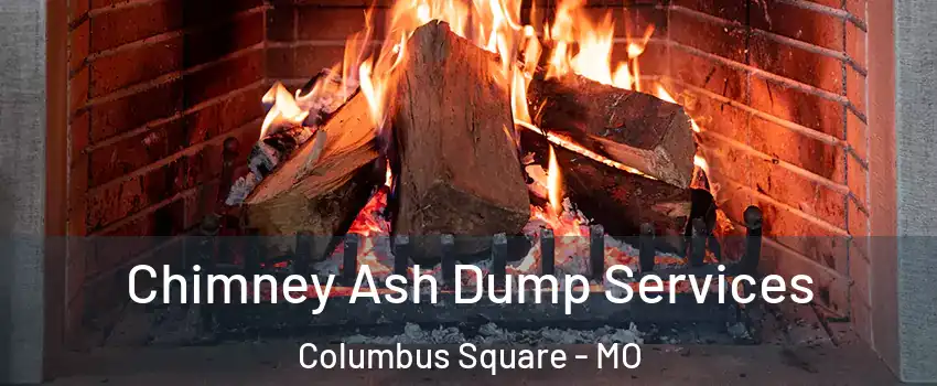 Chimney Ash Dump Services Columbus Square - MO