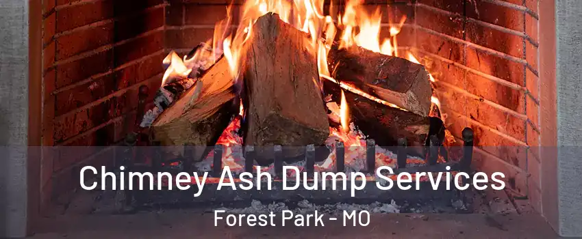 Chimney Ash Dump Services Forest Park - MO