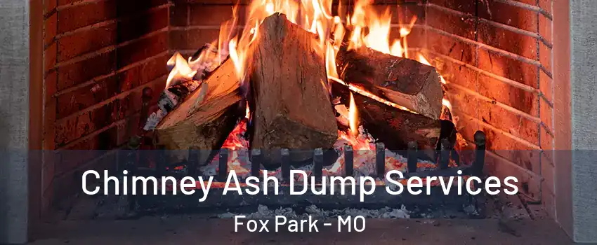 Chimney Ash Dump Services Fox Park - MO