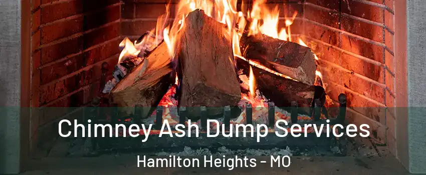 Chimney Ash Dump Services Hamilton Heights - MO