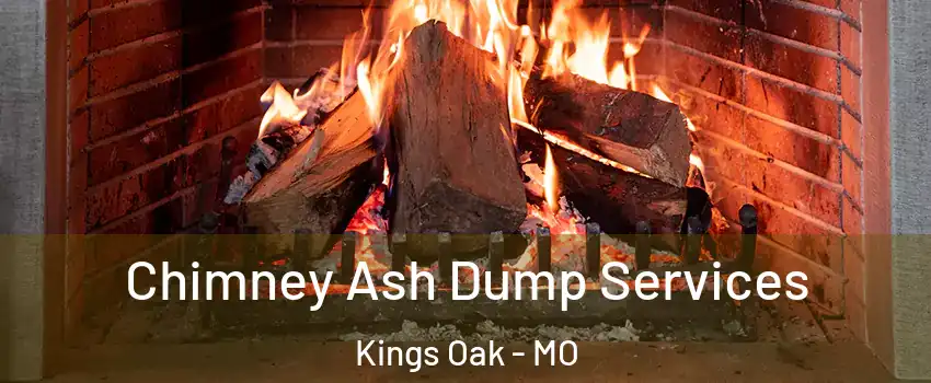 Chimney Ash Dump Services Kings Oak - MO