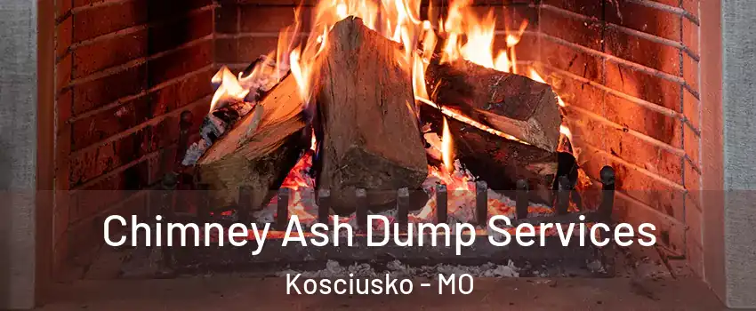 Chimney Ash Dump Services Kosciusko - MO