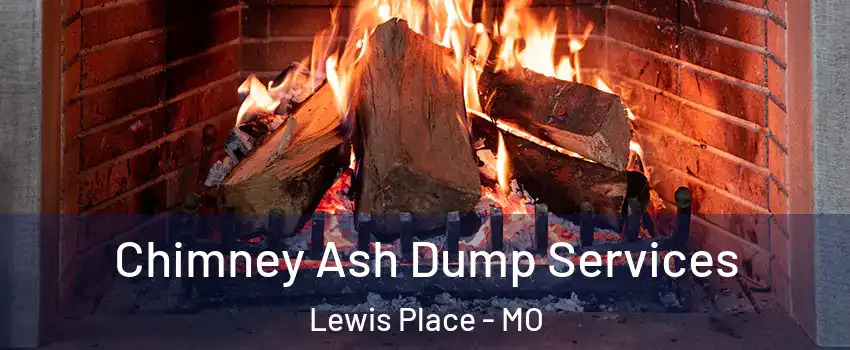 Chimney Ash Dump Services Lewis Place - MO
