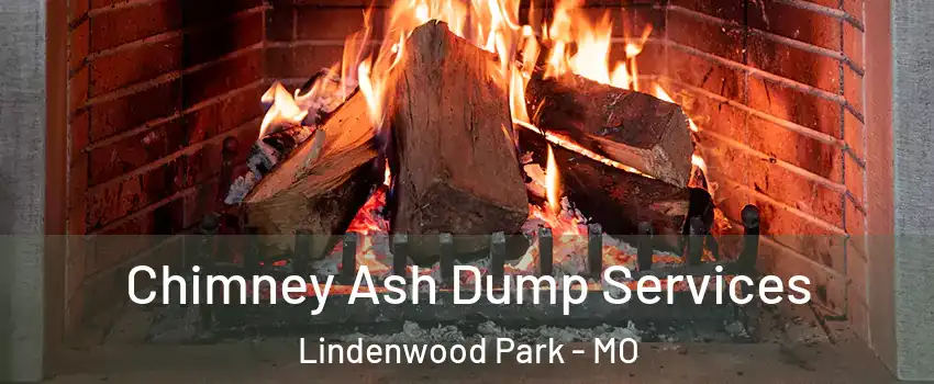 Chimney Ash Dump Services Lindenwood Park - MO