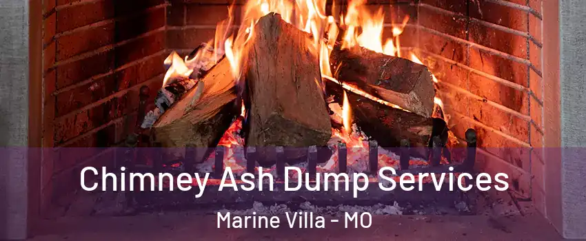 Chimney Ash Dump Services Marine Villa - MO