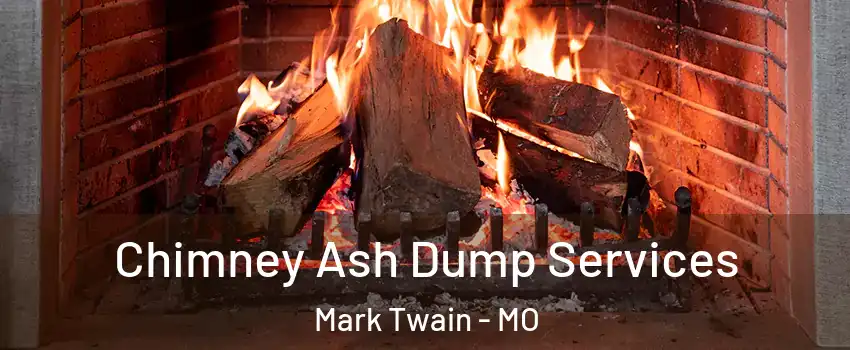 Chimney Ash Dump Services Mark Twain - MO