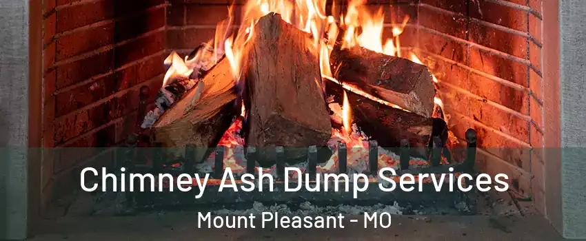 Chimney Ash Dump Services Mount Pleasant - MO