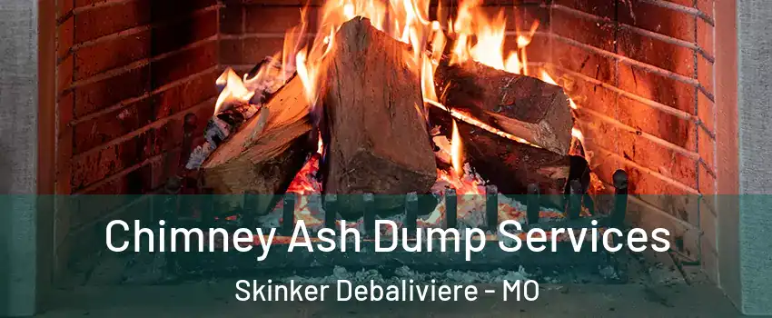 Chimney Ash Dump Services Skinker Debaliviere - MO