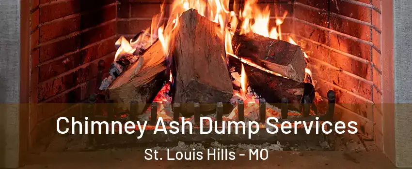 Chimney Ash Dump Services St. Louis Hills - MO