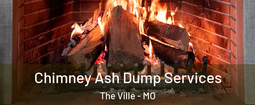 Chimney Ash Dump Services The Ville - MO