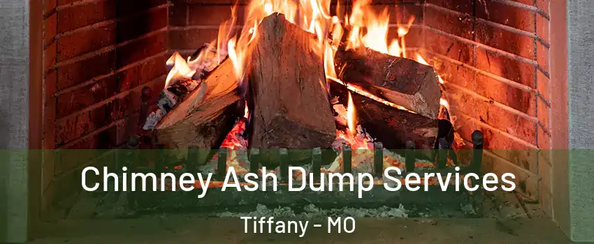 Chimney Ash Dump Services Tiffany - MO