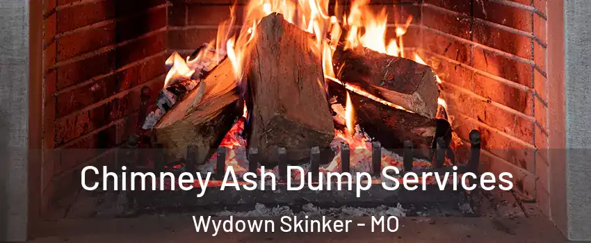 Chimney Ash Dump Services Wydown Skinker - MO