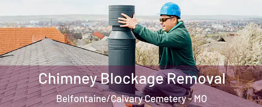 Chimney Blockage Removal Belfontaine/Calvary Cemetery - MO