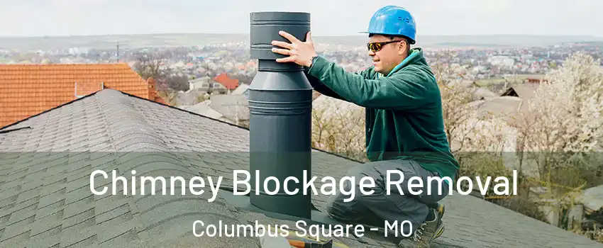 Chimney Blockage Removal Columbus Square - MO