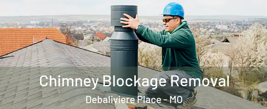 Chimney Blockage Removal Debaliviere Place - MO
