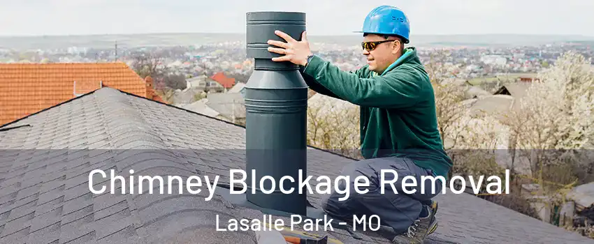 Chimney Blockage Removal Lasalle Park - MO