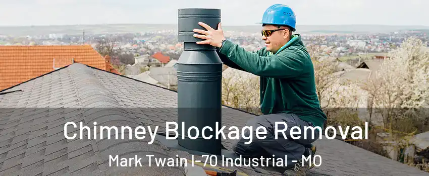 Chimney Blockage Removal Mark Twain I-70 Industrial - MO