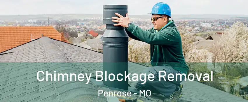 Chimney Blockage Removal Penrose - MO