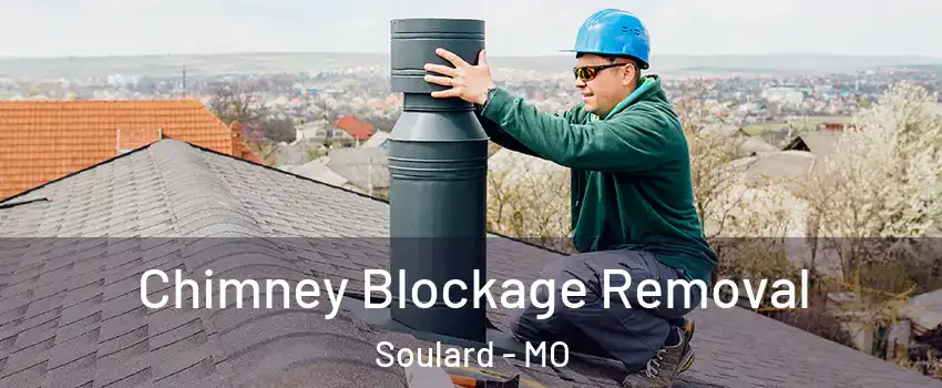 Chimney Blockage Removal Soulard - MO