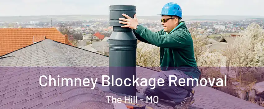 Chimney Blockage Removal The Hill - MO