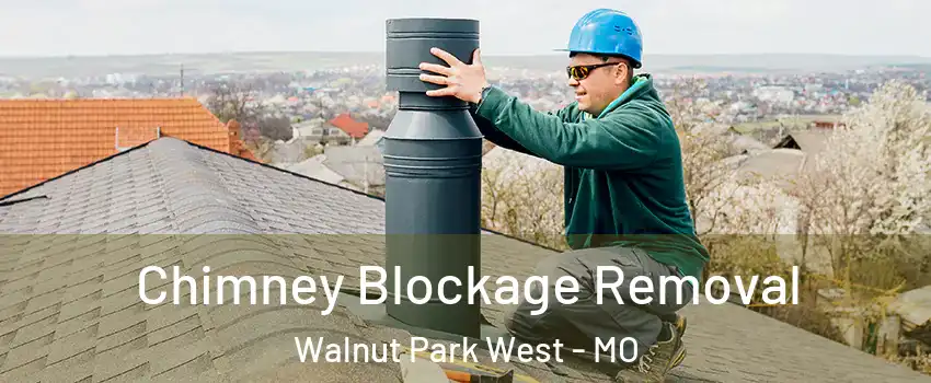 Chimney Blockage Removal Walnut Park West - MO